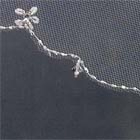 Ansonia Bridal Veil White NWT